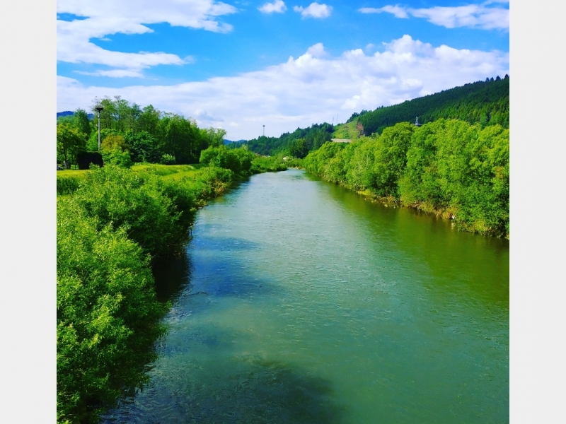 Zelená rieka